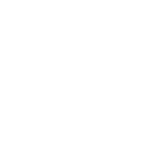 Phase 2 - Été 2024